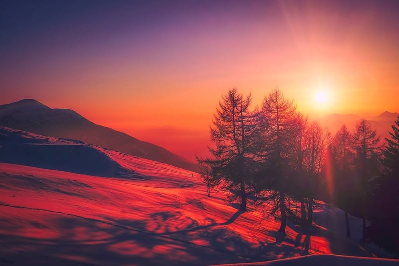 Fairy Tale Meadow